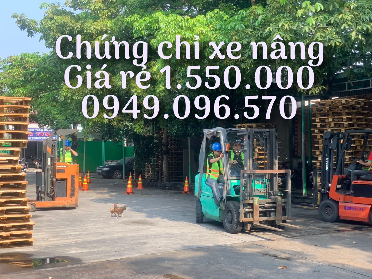 Dạy lái xe nâng giá rẻ tại Thuận An, bình Dương