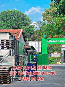 Dạy kèm lái xe nâng ngắn ngày chất lượng tại khu vực Bình Dương, Đồng Nai